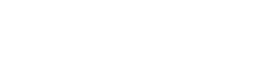 Syncronize IT Logo